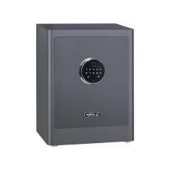 mySafe Premium 450 - Grau| Code und Fingerabdruck